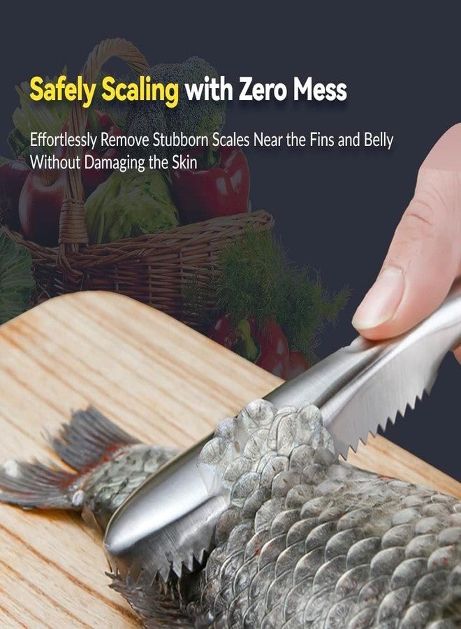 BLINE Fish Scaler Stainless Steel Fish Scaler Remover No Mess - Sturdy Fish Descaler Tool Portable Fish Scale Remover - Durable Fish Scraper Fish Cleaning Tools for Quick & Easy Fish Scaling (Pack 1) - Image 4